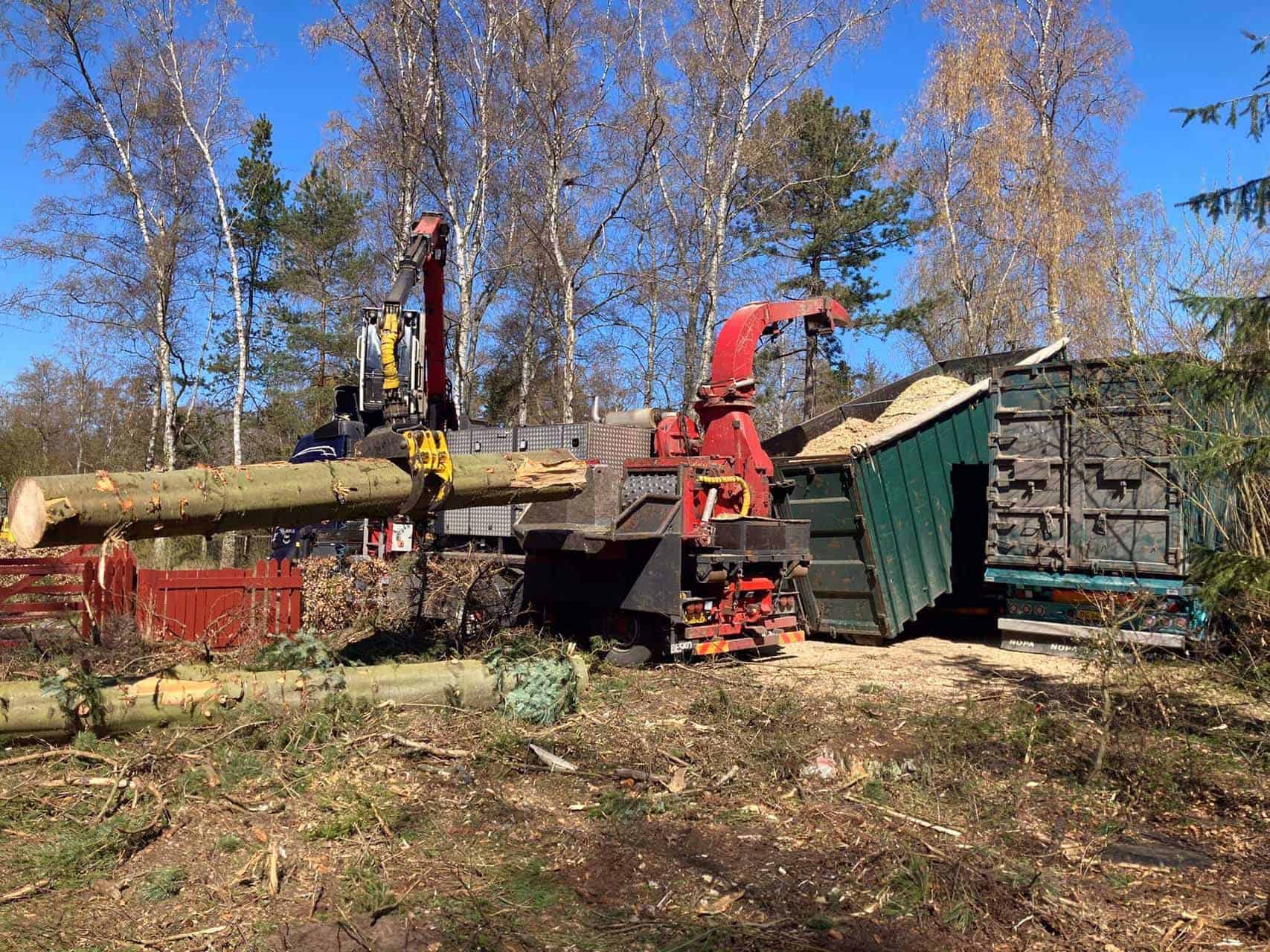 Skovningsmaskine arbejder ved containere og skovbryn.